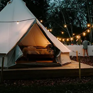 https://boszee.hotelsghent.com